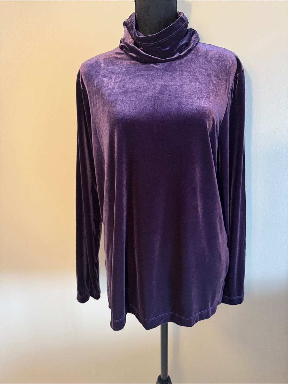 Susan Graver Velvet Turtleneck Long Sleeve Top - Purple